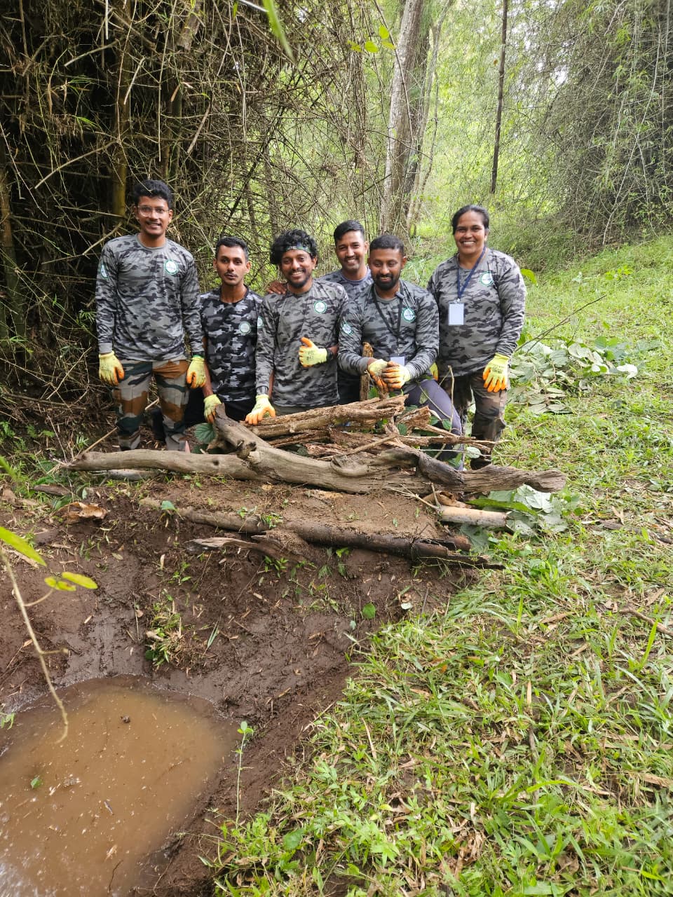 Forest restoration